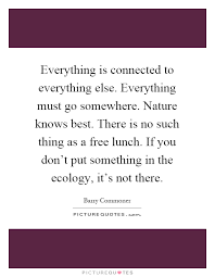 Everything Is Connected To Everything Else Everything Must Go Picture Quotes