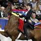 Dayton Horse Show