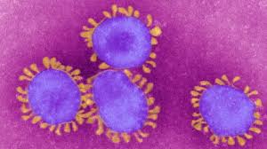 La explosión de esta variante se debe a que, según se sospecha, es hasta un 60% más contagiosa. Delta Las 5 Mutaciones Que Hacen A Esta Variante Del Coronavirus Mas Contagiosa Y Preocupante Bbc News Mundo