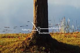 Das bundesnaturschutz legt in paragraph 39, absatz 5, satz 2 bundesweit folgendes fest:. Wichtige Grundlagen Um Einen Baum Sicher Zu Fallen