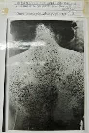 305,673 likes · 1,408 talking about this. ã‚«ãƒãƒŸ ã‚«ãƒã‚«æ²¹ç—‡ã«æ­£ç¾©ã‚'