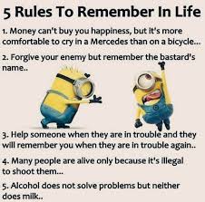 Minions Fans Timeline Photos Funny Minion Quotes Funny Quotes Just For Laughs