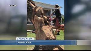 See more since 1933, the hixson family has served families with dignity in the rendering of service that comes with quiet respect and a sincere desire to help. Hurricane Stricken Oak Tree Reborn As An Angel