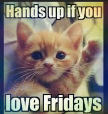Funny cat memes clean 2018. Funny Cat Memes 2020 Best Collection Of The Year