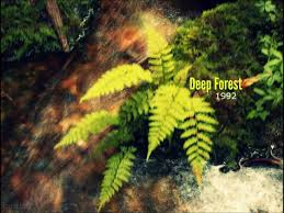 прогулка по лесам смотреть онлайн бесплатно в хорошем качестве Deep Forest Full Album 1992 The First Album Youtube