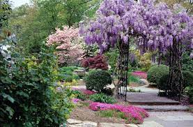 Landscaping Garden Center Plants Garden