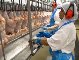 The property industry in malaysia very competitive. How Robust Is Brazil S 2 Bln Halal Poultry Industry Salaam Gateway Global Islamic Economy Gateway