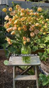 Image result for eustoma lisianthus in vase