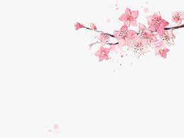 Rose Romantique De Fleur De Decoration En 2020 Fond D Ecran Iphone Fleur Fond Ecran Printemps Fond D Ecran Lumineux