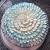 Creative Whipped Cream Cake Designs