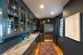 Do you think blue kitchen cabinets gold hardware looks nice? Blue And Gold Kitchen Ideas Photos Houzz