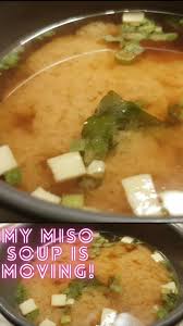 Why Does Miso Soup Separate Seem Like It S Moving Video Video Asian Soup Recipes Miso Soup Soup Recipes