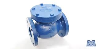 Swing Check Valves | ValveMan
