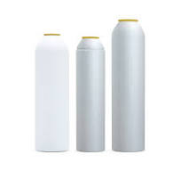 Wholesale Customized Size Aeorol spray can Fast deliver ...