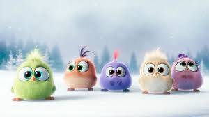 Some of my best friends are flightless birds, and they tend to agree with me about the unfairness of flight. Cute Full Hd Angry Birds Wallpaper Novocom Top