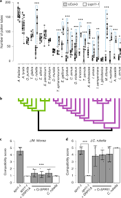 Check spelling or type a new query. A Stigmatic Gene Confers Interspecies Incompatibility In The Brassicaceae Nature Plants
