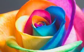 We would like to show you a description here but the site won't allow us. Flower Dps Posts Facebook