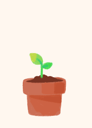 Like Sergle Motion Design Animation Gif Flower Gif Pictures