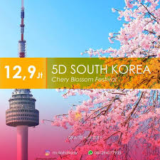 Paket Tour Korea Paket Tour Korea 2019 Paket Tour Korea 2019 Murah Paket Tour Korea Murah All In Paket Tour Korea 2019 Chery Blossom Tour Kore Korea Buddha