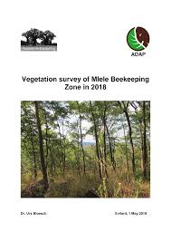 Image result for Oldfieldia dactylophylla