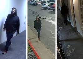Police in austin, texas are reporting to an active shooter situation in which three people have been pronounced dead. Austin Police Search For Suspect In Deadly North Austin Shooting