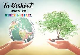 Preparations are underway for tu bishvat, the new year of the trees, which falls on january 30th. Study In Israel It S Tu Bishvat Tu Bishvat Is A Jewish Facebook