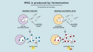 What Is Msg And How Is It Made Monosodium Glutamate Msg Ajinomoto Group Global Website Eat Well Live Well