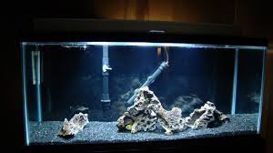 Made A Led Fish Tank Light Pics Included