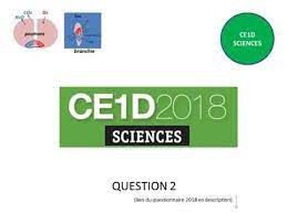 Sscciieencnecs e20s14 ce1d sciences 2014 ce1d sciences. Ce1d 2018 Question 2 Corrige Youtube
