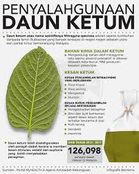 We did not find results for: 40 Tahun Ketagih Heroin Akhirnya Pulih Kerana Ketum Isu Semasa Semasa Forum Cari Infonet