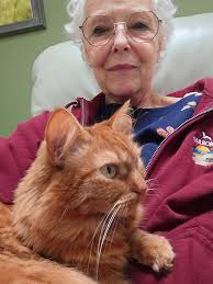 Hi all! I just wanted to introduce myself and share a photo I took. My  little rescue of 3 years Jimmy!!!!!