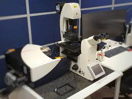 Leica Sp8 In1 Biop Epfl