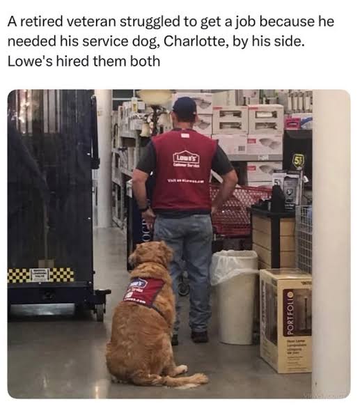 25 Pure and Precious Pupper Memes Packed with Pawsitivity For the Weekend -  Animal Comedy - Animal Comedy, funny animals, animal gifs