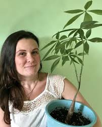 The chinese money plant (pilea peperomioides) has beautiful round leaves on long petioles, that initially, the plant has an abundance of water, but when the roots start dying due to the waterlogged. Hey Money Plant What S Your Story Gardenstead