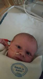 Is your cat dramatic with a new carrier?