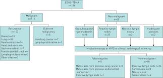 Diagnosis was made on the tbnaslides and cell block/biopsy material. Ebus Tbna In Pet Positive Lymphadenopathies In Treated Cancer Patients European Respiratory Society
