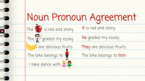In other words, words that can be used instead of a noun are called pronouns. Noun Pronoun Agreement Youtube