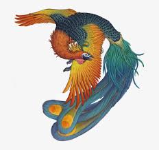 Hey guys welcome back to my channel. Phoenix Bird Harry Potter Fenghuang Monster Png Image Transparent Png Free Download On Seekpng