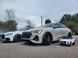 Image result for Siam Beige 2017 A1