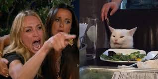 Woman Yelling At A Cat Template Woman Yelling At A Cat White Cat Meme Woman Meme Cat Memes
