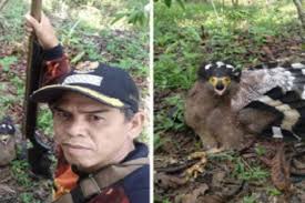 Jenis burung merpati ini paling. Bksda Cari Pengunggah Foto Burung Elang Ditembak Di Bengkulu Utara