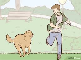 Be more responsible, cut off your extra costs, and save that money. 3 Ways To Persuade Your Parents To Get A Dog Wikihow