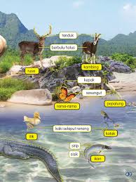 Guru menunjukkan gambar haiwan dan murid cuba membunyikan suara haiwan tersebut. Sains Tahun 1 Sk Pages 51 100 Flip Pdf Download Fliphtml5