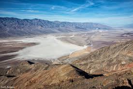 By far the most populous flower was the yellow desert gold, but. 5 Reasons Why Death Valley Should Be The Next National Park You Visit Earth Trekkers