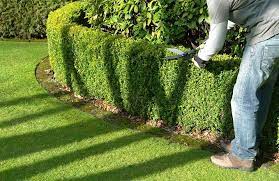Garden Yard Maintenance Services Costs Mowing Raking Hedge Trimming More Homeadvisor