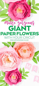 It comes available in many colors, and you can order one flower or a whole set. Giant Paper Flower Backdrop Tutorial Pineapple Paper Co
