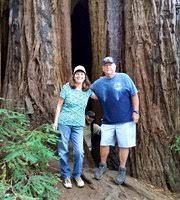 Check spelling or type a new query. Samuel P Taylor State Park Lagunitas 2021 All You Need To Know Before You Go Tours Tickets With Photos Tripadvisor