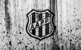 Ponte preta is also known as macaca. Download Wallpapers Fc Ponte Preta 4k Grunge Brazilian Seria A Logo Brazil Soccer Football Club Ponte Preta Stone Texture Art Ponte Preta Fc For Desktop With Resolution 3840x2400 High Quality Hd Pictures