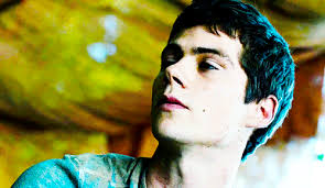 ᴛʜᴇ ʀᴏʏᴀʟ sᴇʟᴇᴄᴛɪᴏɴ