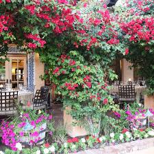 • menu • • locations • • order now • • gallery • T Cook S At Royal Palms Resort And Spa Restaurant Phoenix Az Opentable